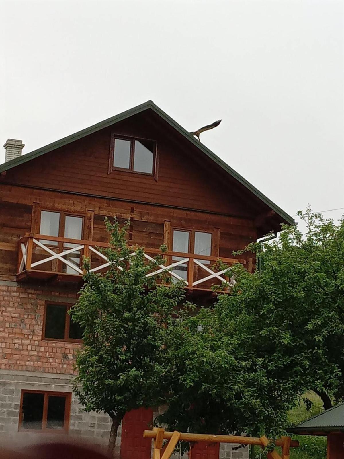 Villa Золота Рибка Slavske Exterior foto